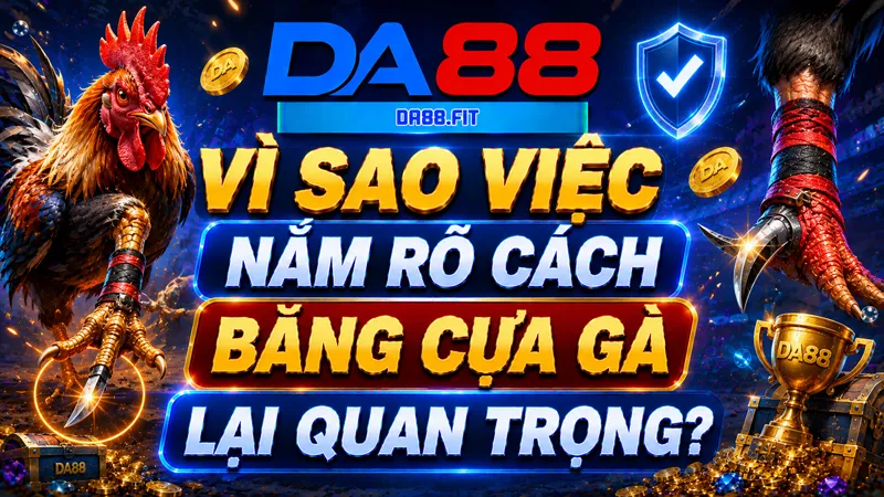 Vì sao việc nắm rõ cách băng cựa gà lại quan trọng?